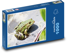 Žaba - obojživelník Puzzle 1000 dielikov - 60 x 46 cm 