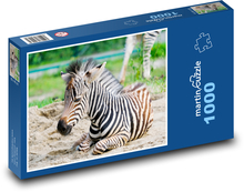 Zebra Puzzle 1000 elementów - 60x46 cm