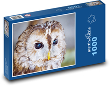 Owl - bird Puzzle 1000 pieces - 60 x 46 cm 