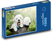 Golden Retriever - Hunde, Welpen Puzzle 1000 Teile - 60 x 46 cm