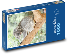 Koala auf einem Baum Puzzle 1000 Teile - 60 x 46 cm