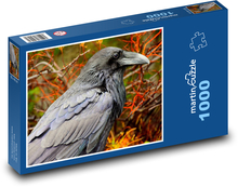 Havran - pták Puzzle 1000 - 60x46 cm