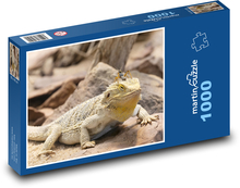 Jašterica - plaz Puzzle 1000 dielikov - 60 x 46 cm 