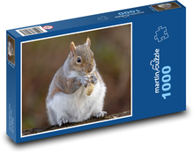 Veverička a arašidy Puzzle 1000 dielikov - 60 x 46 cm 