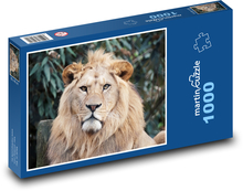 Lew z dużą grzywą Puzzle 1000 elementów - 60x46 cm