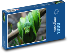 Zielony wąż - pyton Puzzle 1000 elementów - 60x46 cm