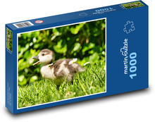 Kačacie mláďa v tráve Puzzle 1000 dielikov - 60 x 46 cm 