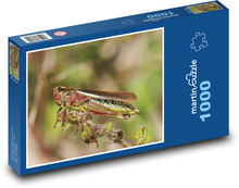 Szarańcza Puzzle 1000 elementów - 60x46 cm