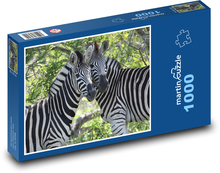 Zebra - Jihoafrická republika Puzzle 1000 dílků - 60 x 46 cm