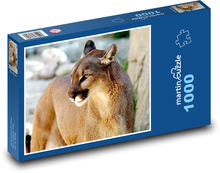 Puma - divoká kočka Puzzle 1000 - 60x46 cm