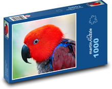 Eclectus multicolored - parrot Puzzle 1000 pieces - 60 x 46 cm 