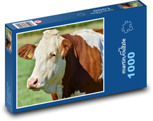 Bescheuert Puzzle 1000 Teile - 60 x 46 cm