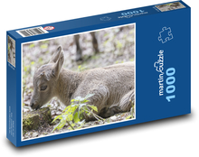 Steinbockjunges Puzzle 1000 Teile - 60 x 46 cm