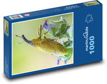 Nosatec - hmyz Puzzle 1000 dílků - 60 x 46 cm