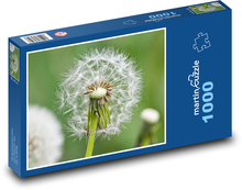 Dandelion - Flower Puzzle 1000 pieces - 60 x 46 cm 