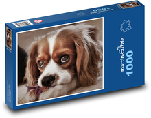 King charles španěl - štěně Puzzle 1000 dílků - 60 x 46 cm