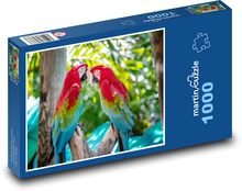 Papuga Puzzle 1000 elementów - 60x46 cm