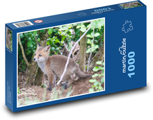 Wild fox Puzzle 1000 pieces - 60 x 46 cm 