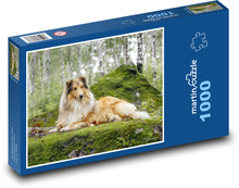 Long-haired collie in the forest Puzzle 1000 pieces - 60 x 46 cm
