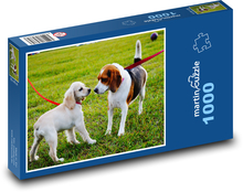 Welpen im Park Puzzle 1000 Teile - 60 x 46 cm
