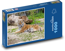 Tygr ussurijský Puzzle 1000 dílků - 60 x 46 cm