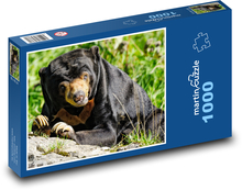 Medveď Puzzle 1000 dielikov - 60 x 46 cm 