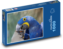 Ptak - papuga Puzzle 1000 elementów - 60x46 cm