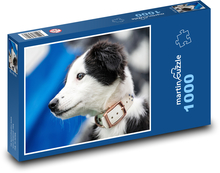 Border Collie Puppy Puzzle 1000 pieces - 60 x 46 cm 
