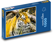 Der Tiger. Puzzle 1000 Teile - 60 x 46 cm