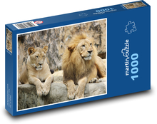 Lew i lwica Puzzle 1000 elementów - 60x46 cm