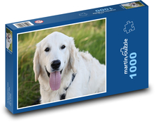 Pes - zlatý retriever Puzzle 1000 dielikov - 60 x 46 cm