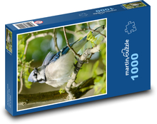 Sójka czubata - ptak Puzzle 1000 elementów - 60x46 cm