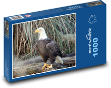 Weißkopfseeadler - Raubtier Puzzle 1000 Teile - 60 x 46 cm