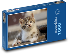 Kočka - kotě Puzzle 1000 dílků - 60 x 46 cm