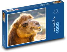 Camel Puzzle 1000 pieces - 60 x 46 cm 