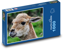 Lama Puzzle 1000 - 60x46 cm