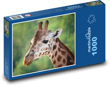 Žirafa Puzzle 1000 - 60x46 cm