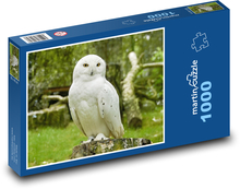 Zasnežená sova Puzzle 1000 dielikov - 60 x 46 cm 