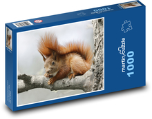 Rezavá veverka Puzzle 1000 dílků - 60 x 46 cm