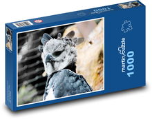 Harpyje Puzzle 1000 dielikov - 60 x 46 cm 