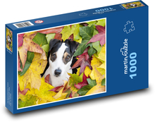 Jack russell terrier Puzzle 1000 pieces - 60 x 46 cm 