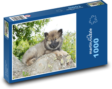 Eurázijskejšie - šteniatko Puzzle 1000 dielikov - 60 x 46 cm 