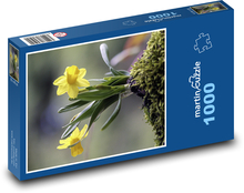 Żółty narcyz Puzzle 1000 elementów - 60x46 cm