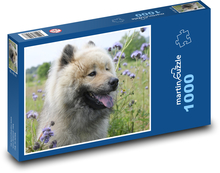 Pes Eurasier v květinách Puzzle 1000 dílků - 60 x 46 cm