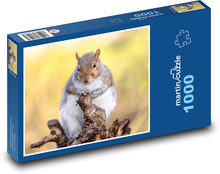 Wiewiórka Puzzle 1000 elementów - 60x46 cm