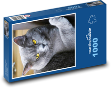 Britská krátkosrstá mačka Puzzle 1000 dielikov - 60 x 46 cm 