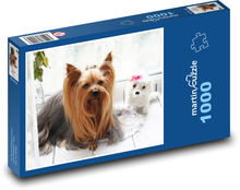 Yorkshire Terrier Puzzle 1000 elementów - 60x46 cm