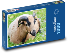 Streichle die Ziege Puzzle 1000 Teile - 60 x 46 cm