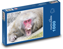 Opica Puzzle 1000 dielikov - 60 x 46 cm 