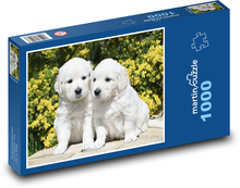 Štěně zlatého retrívra Puzzle 1000 - 60x46 cm